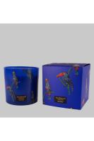 Toucan Raın Forest Candle 650G Mum Standart